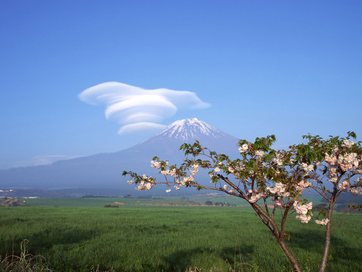 39463 (a): :1600x1200